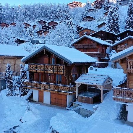 Chalet Individuel 8 Pers A Chatel Porte Du Soleil Avec Jacuzzi Exterieur Exterior foto